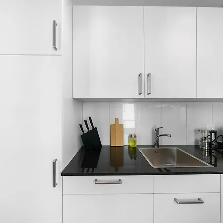 Book2Stay Modernes Apartment Olma-Areal St. Gallen Exterior photo